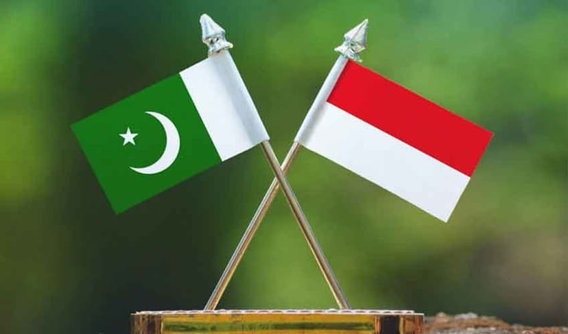 Pakistan-Indonesia trade