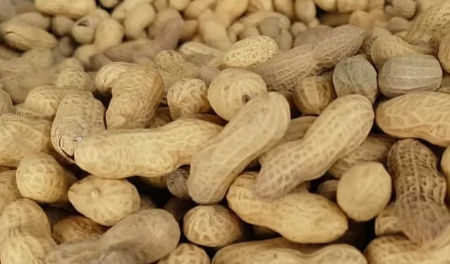Peanuts promote heart health (Courtesy: File)
