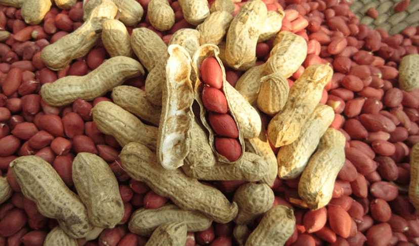 Peanuts contribute to heart health (Courtesy: Online)