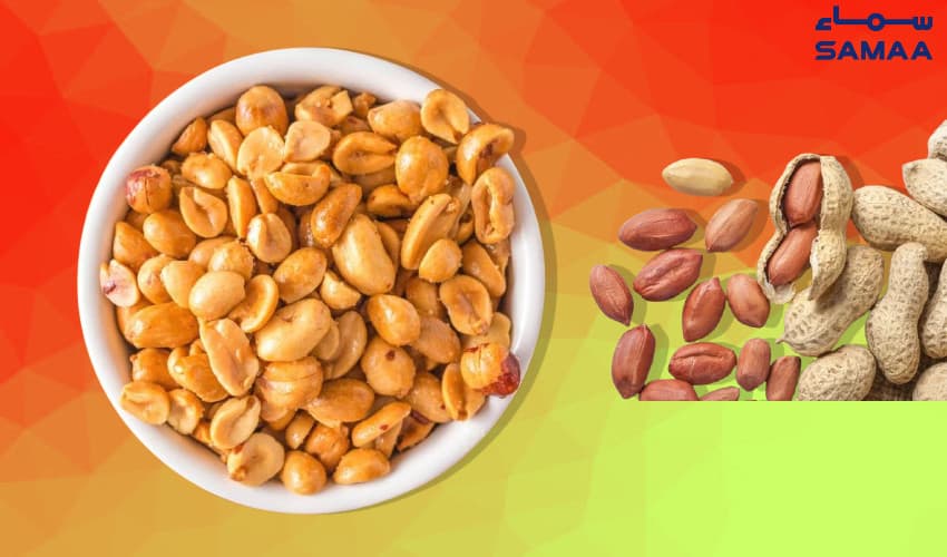Peanuts are rich in protein, fats, fibre and other nutrients (Courtesy: Samaa Digital - art work)