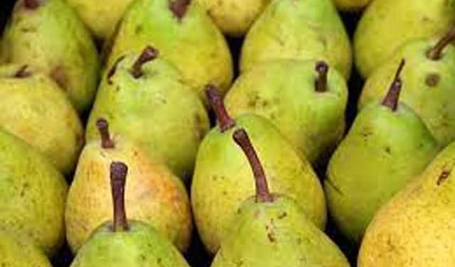 Pears linked to wide-ranging health benefits (Courtesy: Online)