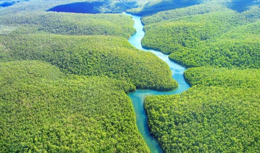 Peru Amazon
