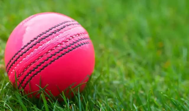 pinkball-test-match