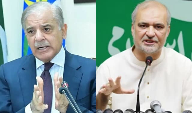 Shehbaz, Naeem express grave concern over Israeli attacks on Palestinians (Courtesy: File)