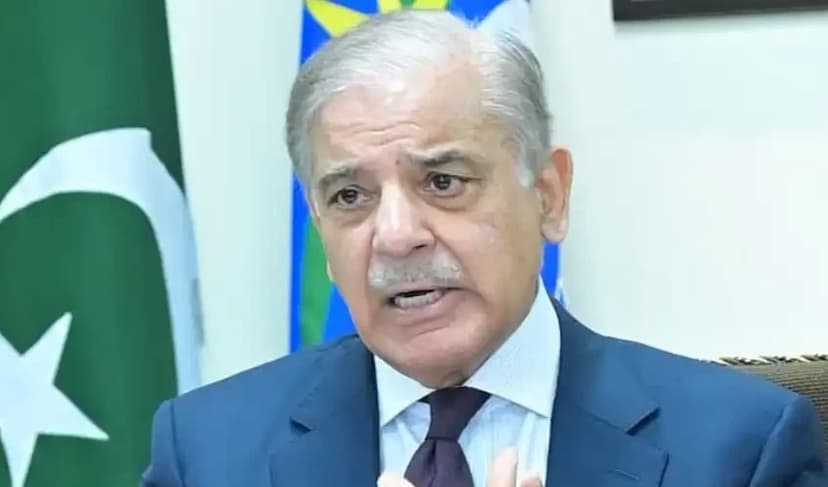 IMF assured of Pakistan's commitment to not bring amnesty scheme