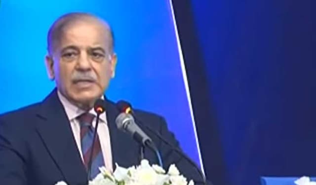 Renewable energy, mining cooperation with Austria vital: Shehbaz (Courtesy: Screengrab)