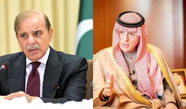 PM apprises Saudi minister of India's role in underming regional stability (Courtesy: Online)