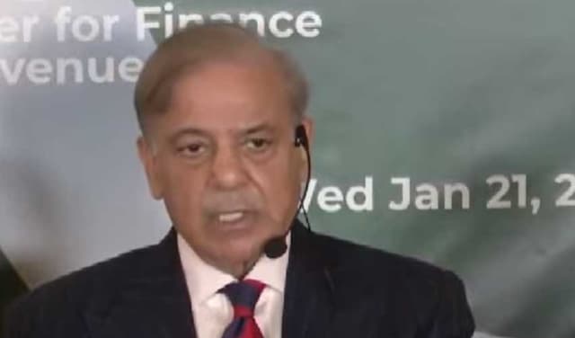 Davos 2026: PM Shehbaz says Pakistan on verge of economic stability (Courtesy: screengrab)
