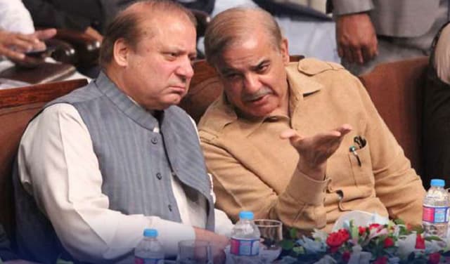 PMLN