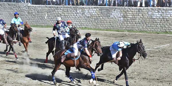 Polo Representational image