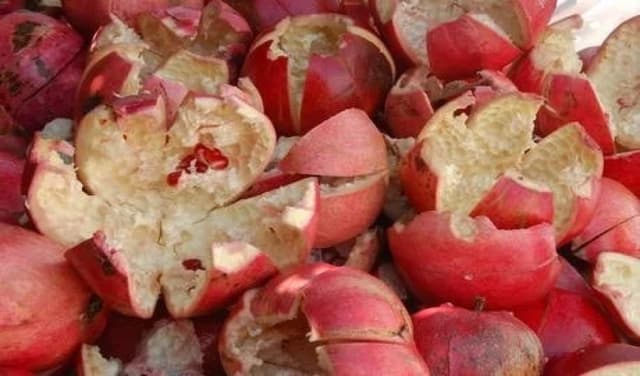 Experts reveal multiple health benefits of consuming pomegranate peel (Courtesy: Online)