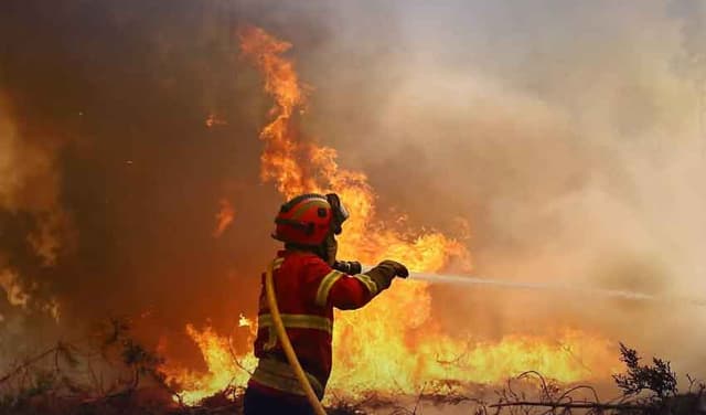 Portugal seeks EU help as wildfires spread