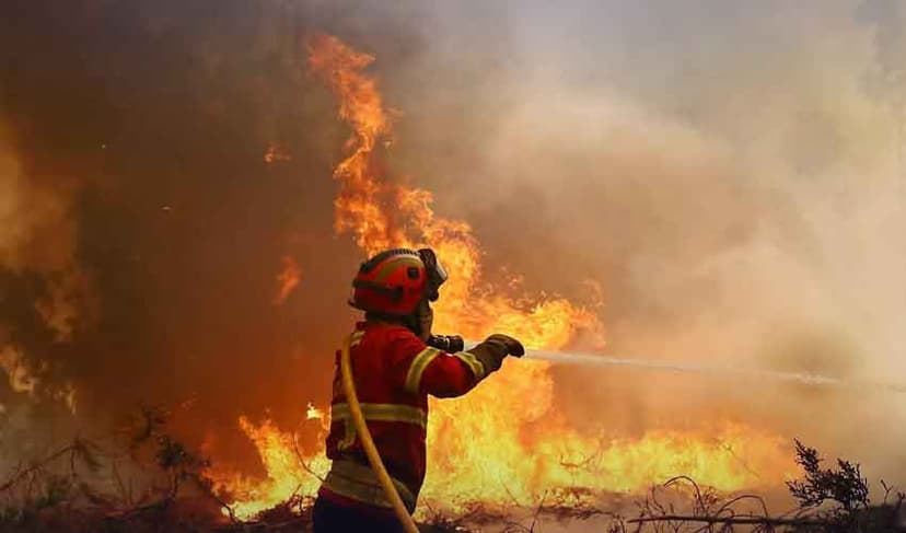 Portugal seeks EU help as wildfires spread