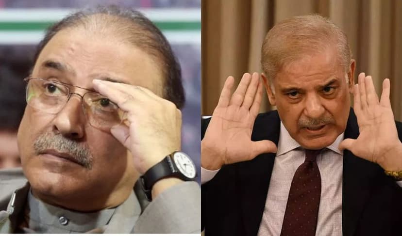 President Zardari and PM Shehbaz