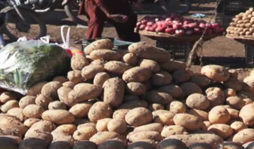 Fruit, vegetable prices slashed, claims Punjab minister – File