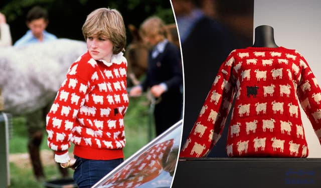 Princess Diana Sweater