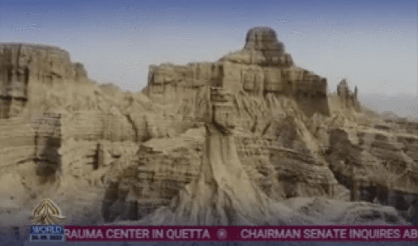 PTV World screengrab