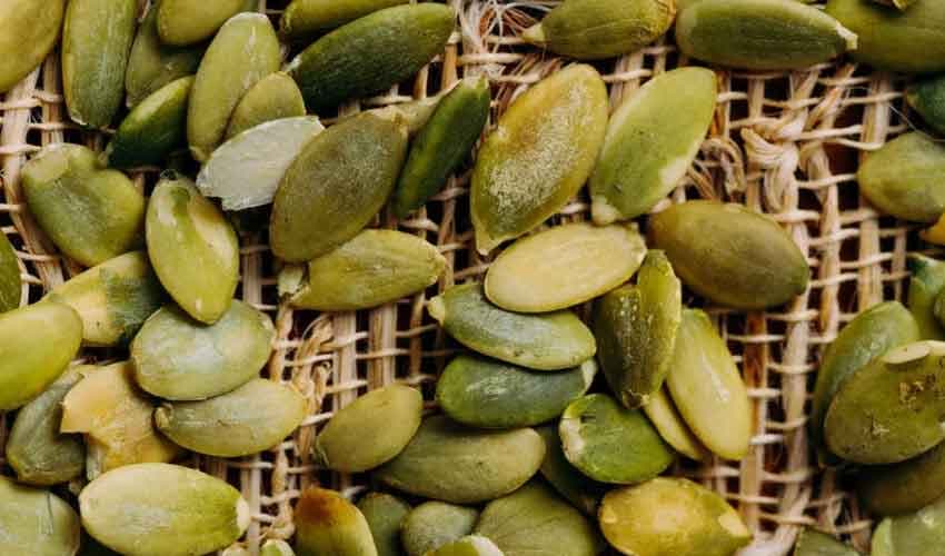 Pumpkin seeds offer rich nutritional value (Courtesy: File) Pumpkin seeds offer rich nutritional value (Courtesy: File)
