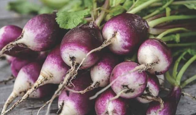 Radish identified as key vegetable for gut health (Courtesy: Online)