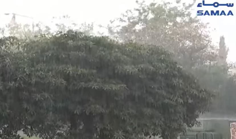 rainfall