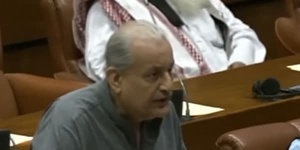 Raza Rabbani screengrab#