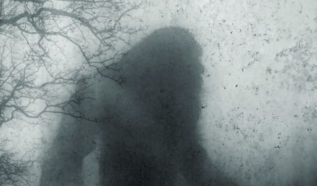 Two men found dead in Oregon forest after Bigfoot search (Courtesy: Online)