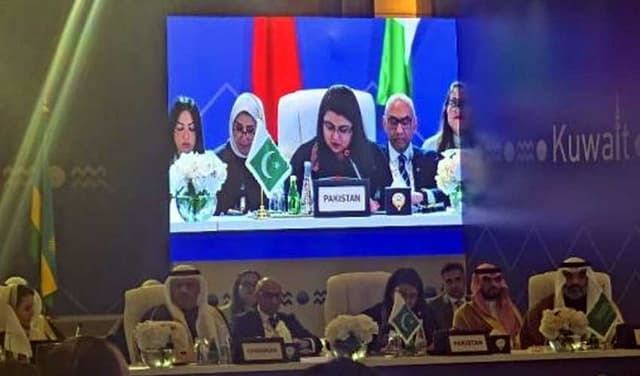 Pakistan elected president of Digital Cooperation Organisation (Courtesy: File)