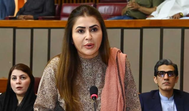Afghan leadership must abandon Indian agenda, says Shazia Marri  (Courtesy: File)