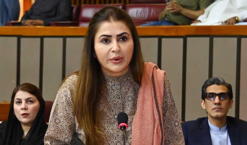 Afghan leadership must abandon Indian agenda, says Shazia Marri  (Courtesy: File)
