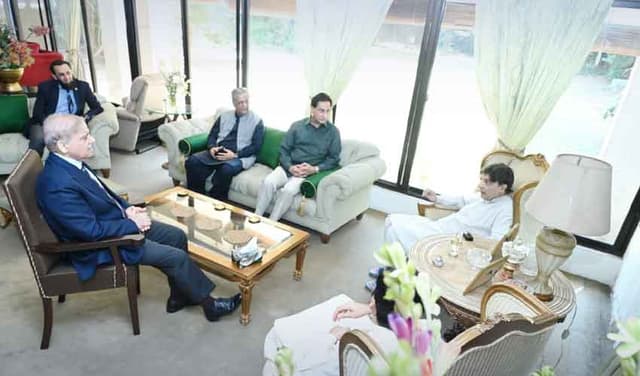Photo: X/PMLN Punjab