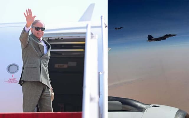 'Protocol accorded to Shehbaz matches that of Trump and Putin' (Courtesy: Online)