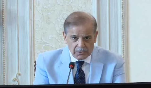PM Shehbaz waives Aug electricity bills in flood-hit areas