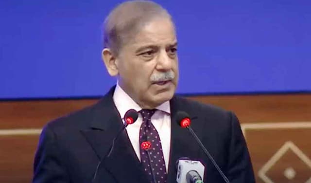 PM Shehbaz forms high-level delegation to ease tensions between PML-N, PPP (Courtesy: File)