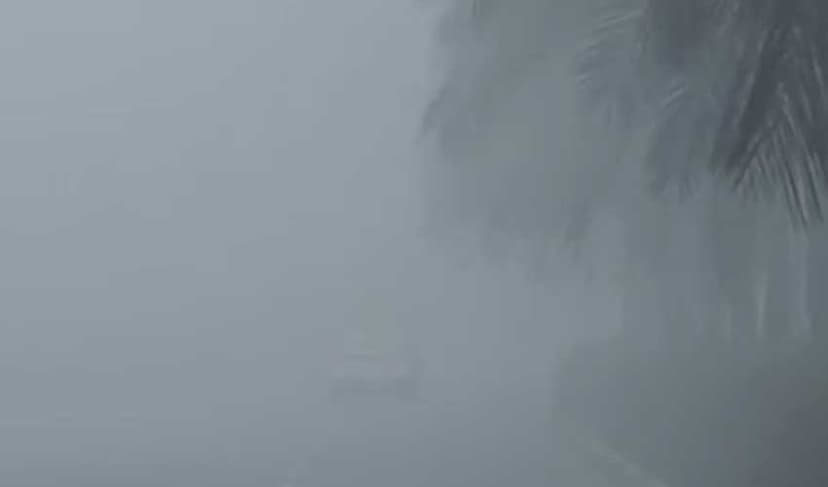 Dense fog forces closure of motorway from Peshawar to Rashakai (Courtesy: File)