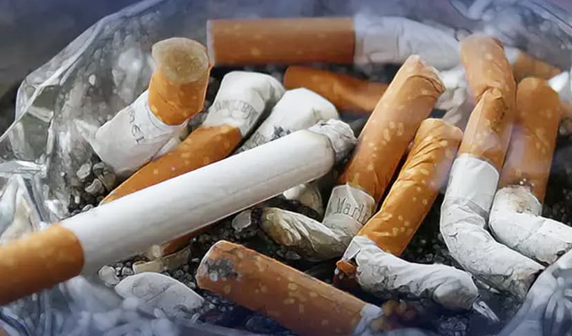 Tobacco harm reduction in Pakistan: Learning from Sweden's success (Courtesy: File)