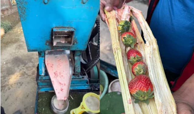 Strawberry-mixed sugarcane juice goes viral on social media (Courtesy: File)