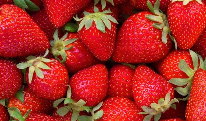 Strawberries offer notable flavour and wide health benefits (Courtesy: File) Strawberries offer notable flavour and wide health benefits (Courtesy: File)