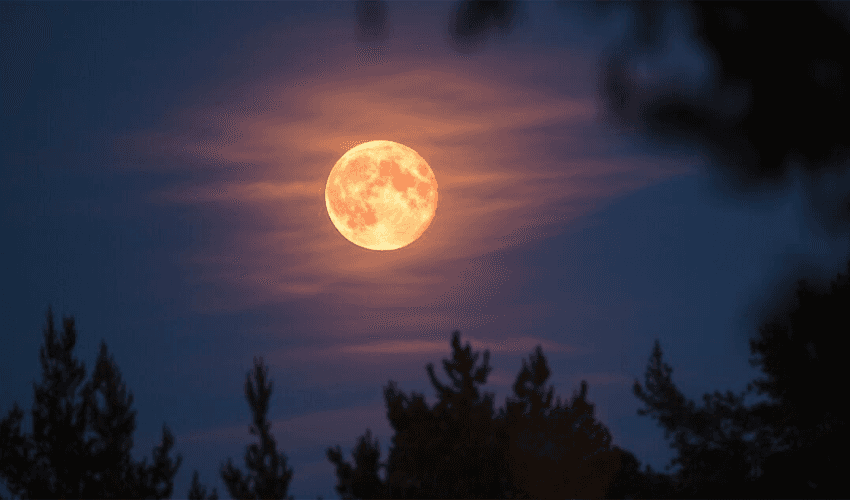 Super Harvest Moon