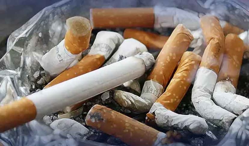 tobacco-economy