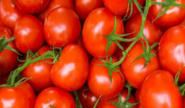 Tomato prices witness whooping hike across Pakistan (Courtesy: File)