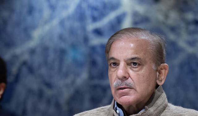 PM Shehbaz extols civil armed forces' efforts against smuggling – File