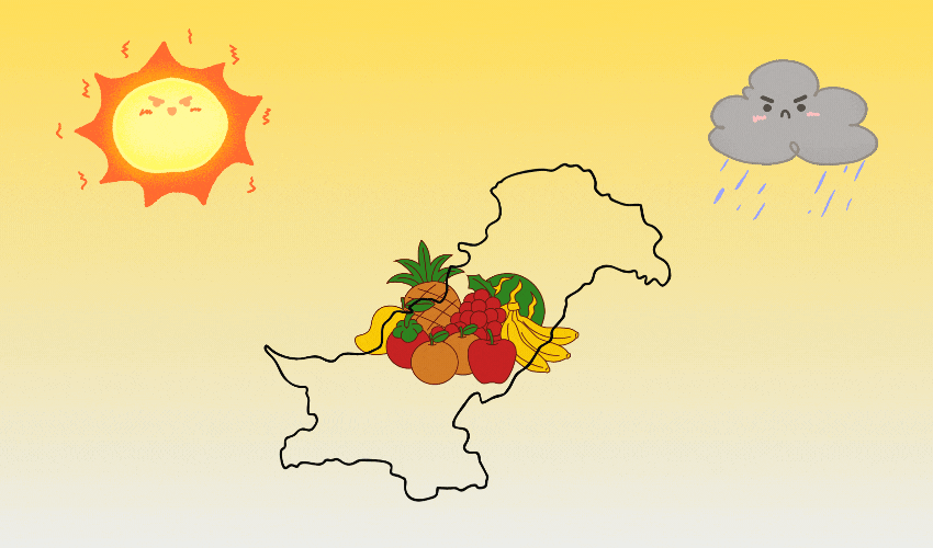 Ilustrataion: Wajid Ali / Samaa Digital