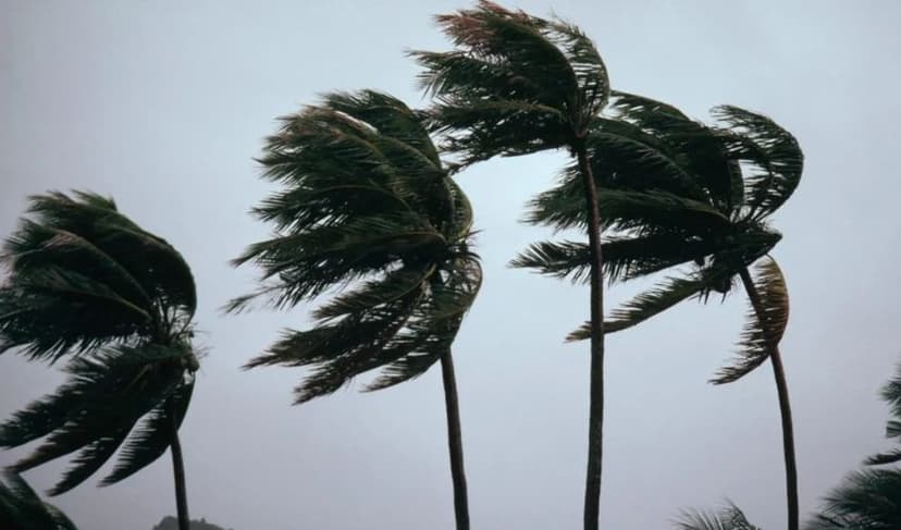 Windy weather