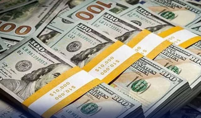 Pakistan received $6.69bn loan this year