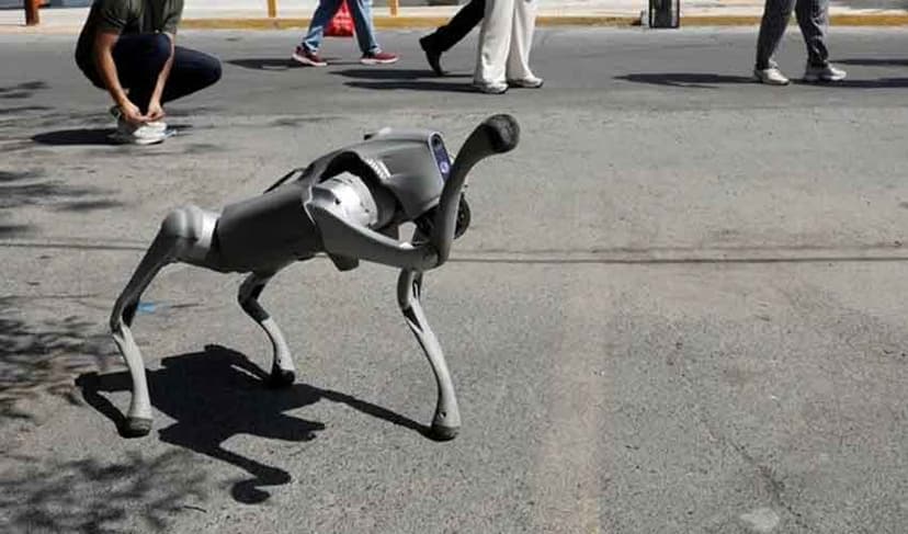 Robot dog in Mexico teaches animal kindness on the streets