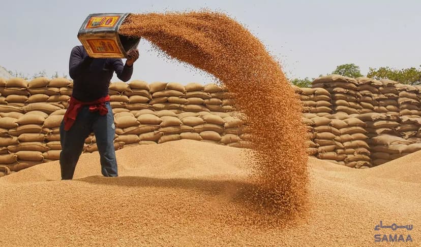 Centre releases wheat, subsidy for GB (Courtesy: File)
