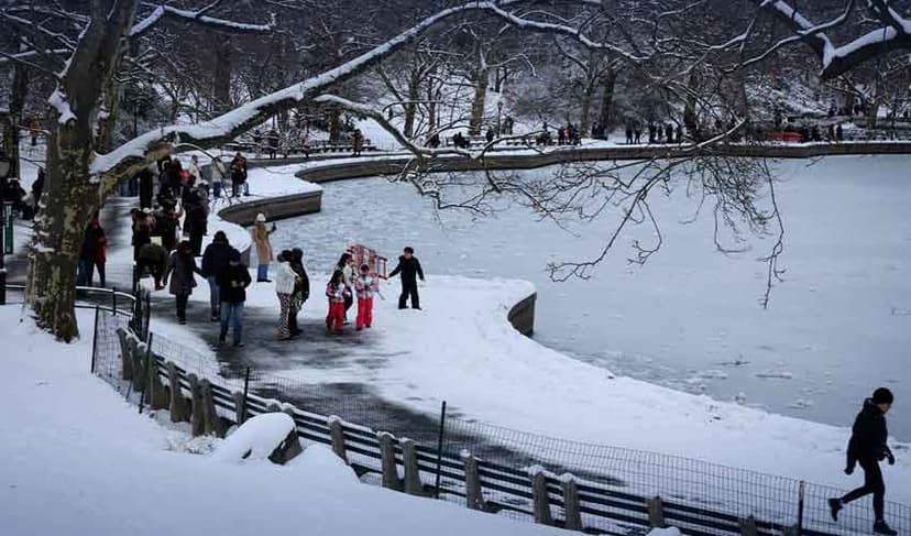 Winter storm grips much of US in snow
