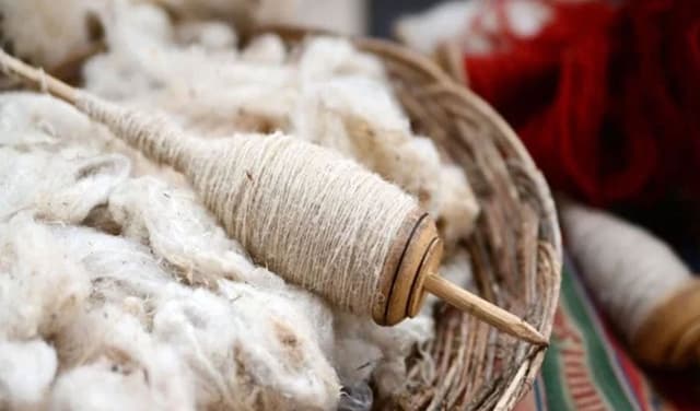 wool-protein-latest