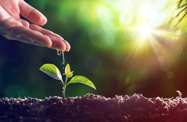 World Enviroment Day