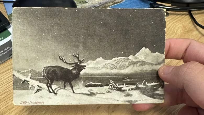 Postcard Postcard